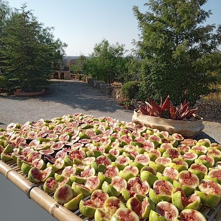 Bed and breakfast Oniro Specchia Extérieur photo